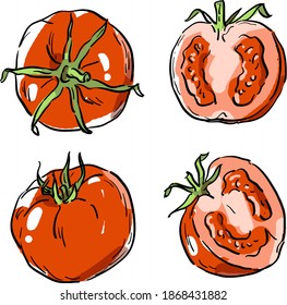 Vector illustration with set of tomatoes, slice of tomatoes, tomato