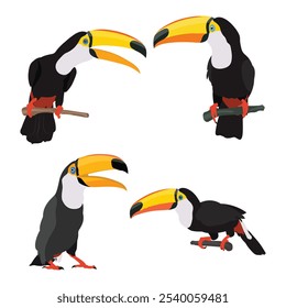 Conjunto de Ilustración vectorial de pájaro tucán en estilo plano de dibujos animados. Grupo de coloridos animales de la vida silvestre de aves tropicales. Mascota Ramphastos toco aislado para recursos digitales, icono, logotipo, etc