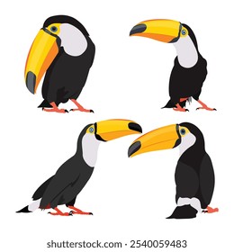 Conjunto de Ilustración vectorial de pájaro tucán en estilo plano de dibujos animados. Grupo de coloridos animales de la vida silvestre de aves tropicales. Mascota Ramphastos toco aislado para recursos digitales, icono, logotipo, etc