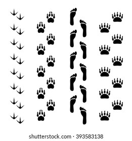 The vector illustration of the set of the traces of the bird, dog, wolf, human and bear