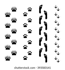 The vector illustration of the set of the traces of the bird, cat, human and bear