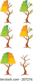 Vector illustration. Set of trees. seasons