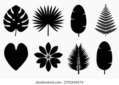 A vector illustration set of tropical and exotic plant leaves in a minimalist black silhouette style. The collection features eight distinct botanical designs arranged in a 2x4 grid grid and isolated on a white background, including monstera deliciosa, fan palm frond, banana leaf, fern, heart-shaped anthurium, umbrella plant (schefflera) rosette, and a symmetrical date palm leaf.