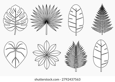 A vector illustration set of tropical and exotic plant leaves in a minimalist line art style. The collection features eight distinct botanical outline designs arranged in a 2x4 grid and isolated on a white background, including monstera deliciosa with fenestrations, fan palm frond, banana leaf with veins, intricate fern, heart-shaped anthurium with prominent venation, umbrella plant (schefflera) rosette, and a symmetrical date palm leaf.
