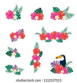 Vector illustration set of tropical flowers bouquet