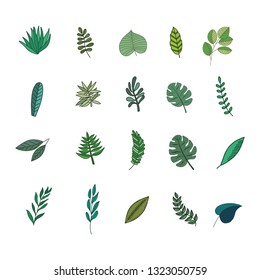 Vector illustration set of tropical leaves isolated on white background