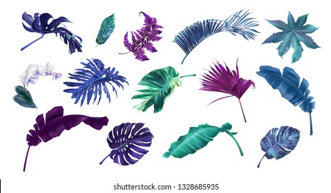 Vector illustration set of tropical leaves and flowers isolated on white background. Highly detailed colorful plant collection. Botanical elements for cosmetics, spa, beauty care products