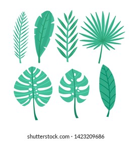 vector illustration set of tropical leaves