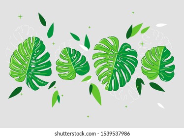 Vector illustration of a set of tropical leaves