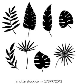 vector illustration, set of tropical leaves in black, isolate on a white background, tattoo, template