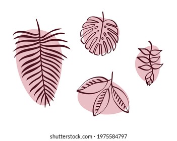 Vector illustration with set of tropical leaves isolated on white background.