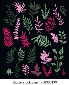 Vector illustration with set of tropical plants and palm leaves isolated on the dark background.