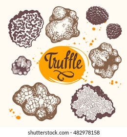 Vector illustration with set of truffle in sketch style. Hand-drawn mushrooms  on white background. Delicatessen French products. Autumn forest harvest. 