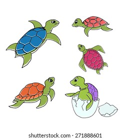 Vector illustration - set of turtles in cartoon style isolated on white background.