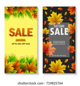 Vector illustration of Set of two autumn sale banners