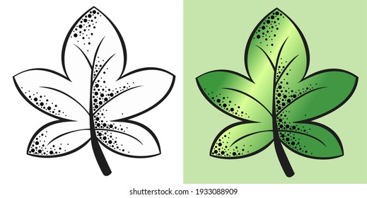 Vector illustration, A set of two leaves with a texture of black and white and colored