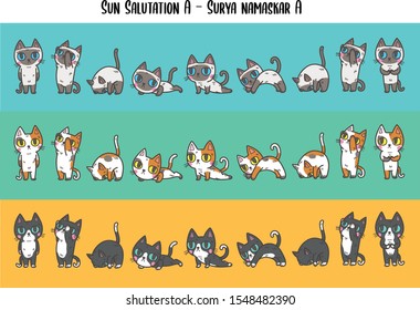 Vector illustration set of variation colours of house domestic cats in many positions of yoga (sun salutation B ,surya namaskar B).Flat cat cartoon colorful vector illustration