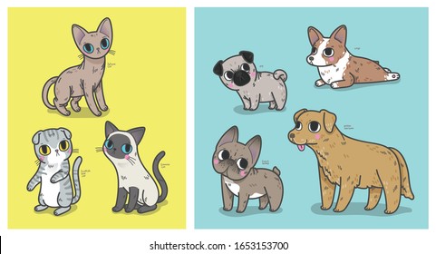 Vector illustration set of variation colours and species of house domestic cats (sphynx, scottish fold, siamese) and dogs (pug, french bulldog, golden retriever, corgi) in many positions 