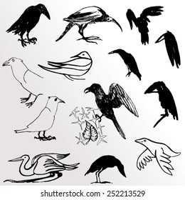 Vector illustration set with a variety of hand drawn black doodle birds. 