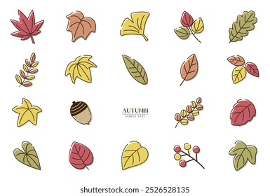 Vector illustration set of various autumn leaves
