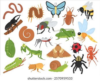 Vector Illustration Set of Various Insects and Bugs in Cartoon Style - Includes Colorful Butterfly, Beetle, Bee, Dragonfly, Snail, Spider, Fly, Ant, Centipede, Grasshopper, Wasp, Caterpillar, Moth