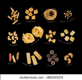 Vector illustration set of various kinds of pasta such as penne, conchiglie, spaghetti, macaroni, fettuccine, farfalle, rotini, cannelloni, ruote, creste di gallo, mezzi rigatoni and stellini
