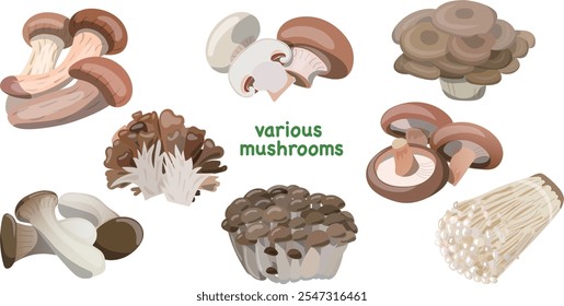 Vector illustration of a set of various kinds of mushrooms in autumn.