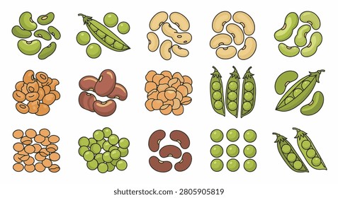 Vector illustration set of various legumes and pulses including green peas in pods, kidney beans, chickpeas, soybeans, and lima beans isolated on a white background for food design.
