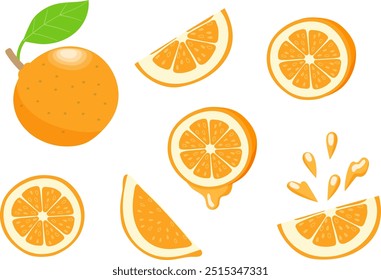 Vector illustration of a set of various oranges