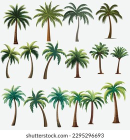 Vector Illustration Set of Various Palm Tree Variants, Isolated on a White Background