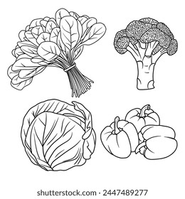 Vector illustration Set of Vegetables hand drawn sketch, various vegetables line art, Containing Spinach, Broccoli, Cabbage, Bell pepper isolated on white background, For kids coloring book.