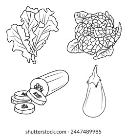 Vector illustration Set of Vegetables hand drawn sketch, various vegetables line art, Containing Lettuce, Cauliflower, Cucumber, Eggplant isolated on white background, For kids coloring book.