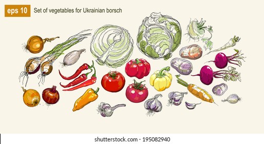 Vector illustration set of vegetables for Ukrainian borsch