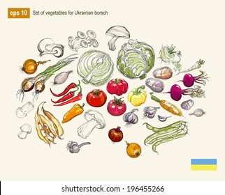 Vector illustration set of vegetables for Ukrainian borsch