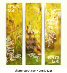 vector illustration. Set of  vertical autumn banners  with blurred  background and  sketch - rowan leaf