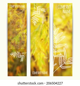 vector illustration. Set of  vertical autumn banners  with blurred  background and  sketch - rowan leaf