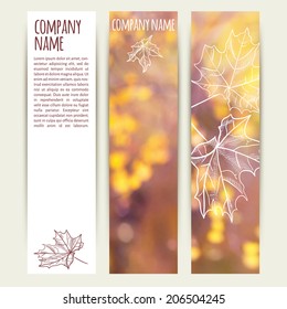 vector illustration. Set of  vertical autumn banners  with blurred  background and  sketch- maple-leaf