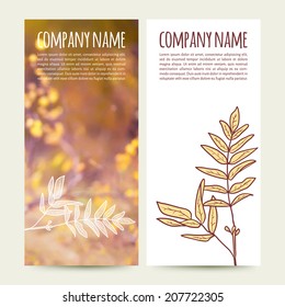 vector illustration. Set of  vertical autumn banners  with blurred  background and  sketch - rowan leaf