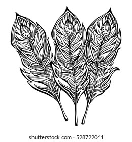 Vector illustration set. Vintage decorative vector elements isolated. Texture. Hand drawn. Feather, spirituality, prints for t-shirts and other textiles.