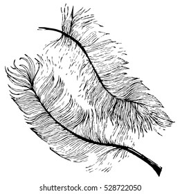 Vector illustration set. Vintage decorative vector elements isolated. Texture. Hand drawn. Feather, spirituality, prints for t-shirts and other textiles.