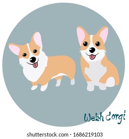 Vector illustration set of welsh corgi dog in different poses.