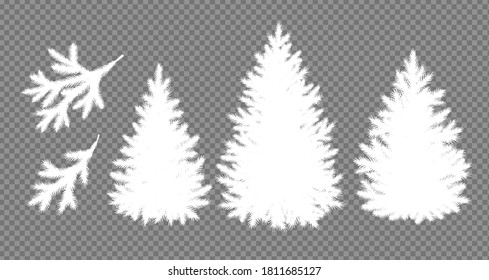 Vector illustration set of white silhouettes of Christmas trees and branches on transparency background.