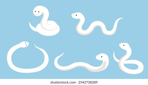Vector illustration set of white snake. Zodiac, New Year's greetings