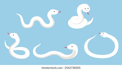 Vector illustration set of white snake. Zodiac, New Year's greetings