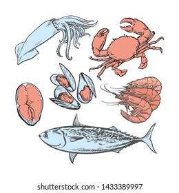Vector illustration set of whole and cut seafood elements in sketch style for restaurant or fish market design - hand drawn edible aquatic animals isolated on white background.