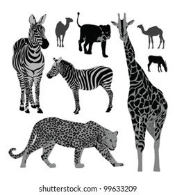 Vector illustration set: wild animals .Africa