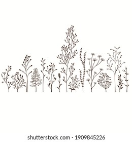 Vector illustration with set of wild plants