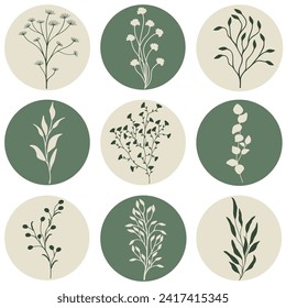 Vector illustration with set of wild plants