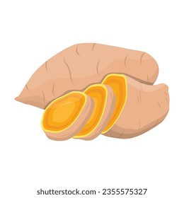 Vector illustration of set of yellow brown sweet potatoes in cartoon flat style. Whole sliced batata or yam isolated on white background. Organic vegetable root, healthy vegan, nutrition carbohydrate.