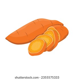 Vector illustration of set of yellow brown sweet potatoes in cartoon flat style. Whole sliced batata or yam isolated on white background. Organic vegetable root, healthy vegan, nutrition carbohydrate.